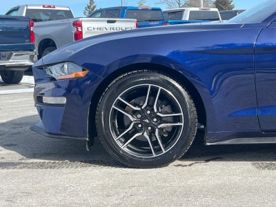 2019 Ford Mustang EcoBoost