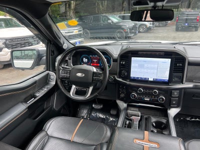 2021 Ford F-150 Platinum